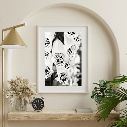 Foxglove Black and White Flower Print, Floral Wall Art, Flower Wall Art