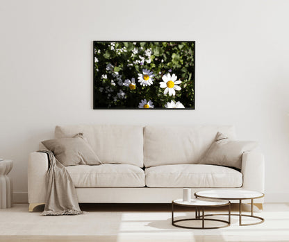 Daisy Wall Art, Floral Wall Art, Photography Prints, Daisy Print, Daisy Flower 1