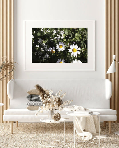 Daisy Wall Art, Floral Wall Art, Photography Prints, Daisy Print, Daisy Flower 1