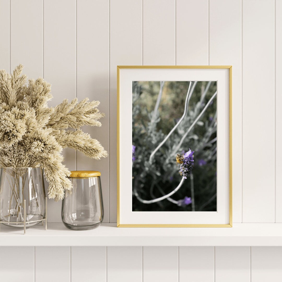 Honey Bee Lavender Fine Art Photo Print, Honey Bee Wall Art, Nature Photography, Living Room Wall Art