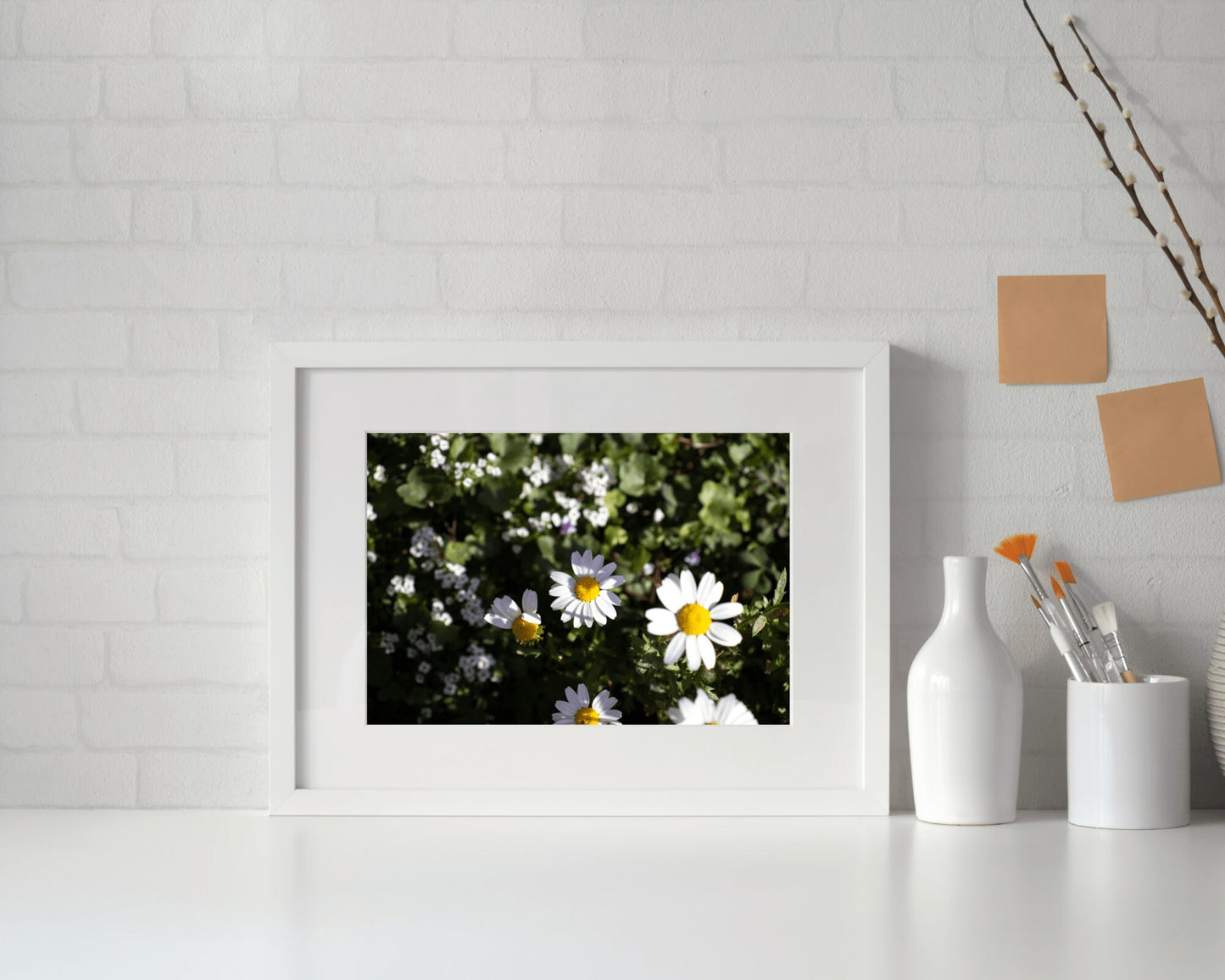 Daisy Wall Art, Floral Wall Art, Photography Prints, Daisy Print, Daisy Flower 1