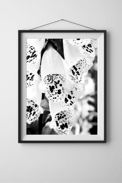 Foxglove Black and White Flower Print, Floral Wall Art, Flower Wall Art