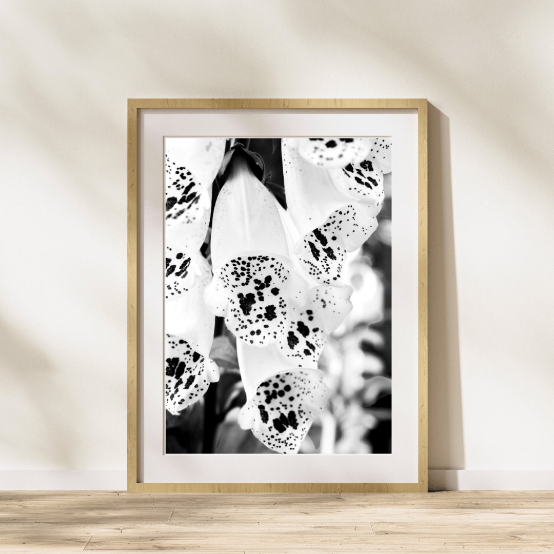 Foxglove Black and White Flower Print, Floral Wall Art, Flower Wall Art