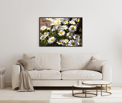 Daisy Wall Art, Floral Wall Art, Photography Prints, Daisy Print, Daisy Flower 2