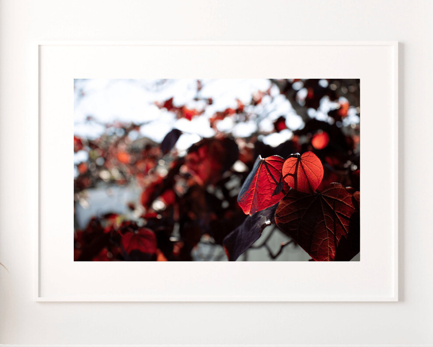 Red Fall Leaves Print, Fall Leaves Photo, Red Leaf Wall Art, Red Leaves Fine Art Print, Autumn Red Tree Leaves 1